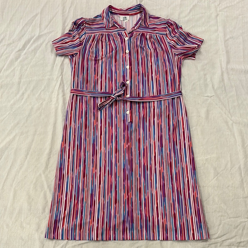 Vintage Button Front Striped Dress